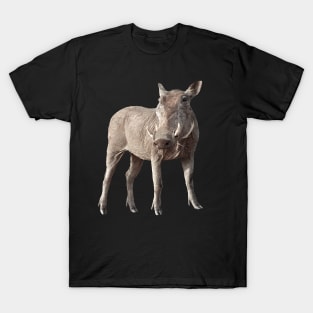 Warthog on Safari in Kenya / Africa T-Shirt